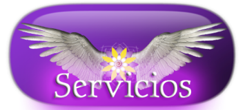 servicios